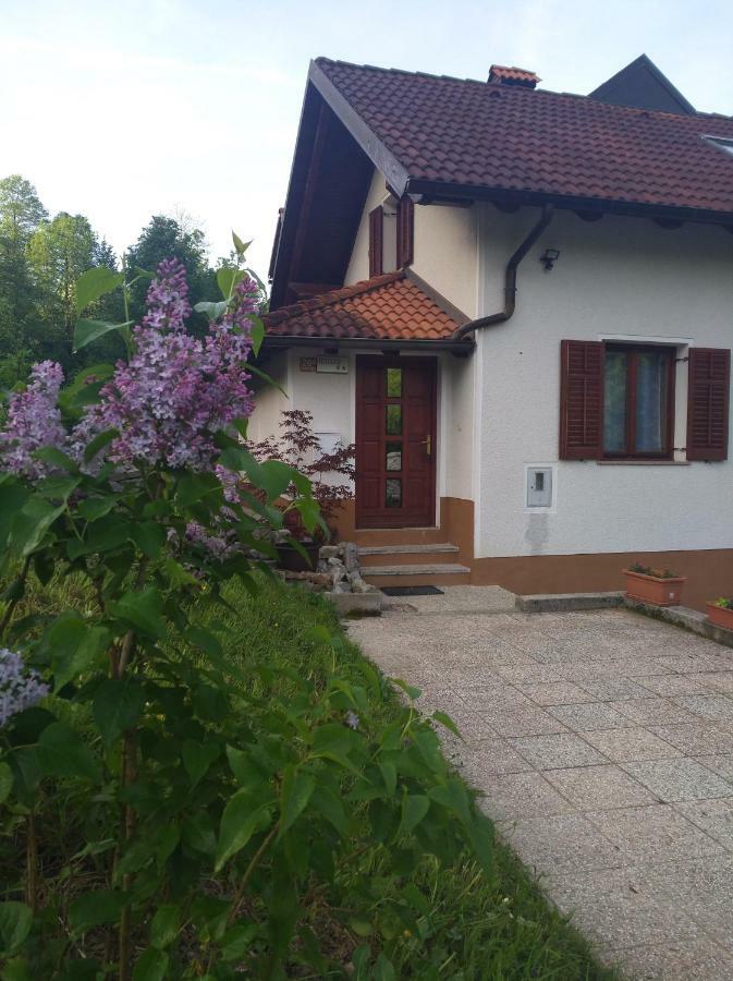 Apartment Sela Tolmin Exteriér fotografie